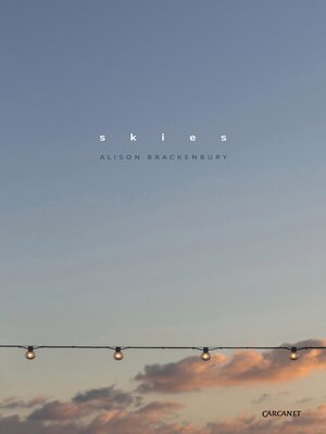 cover image of Skies